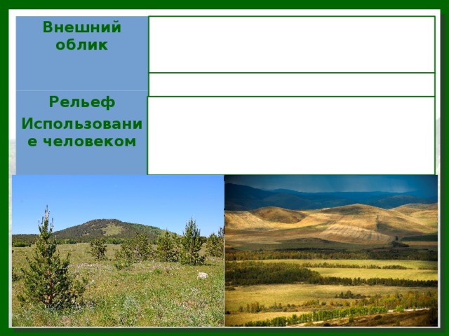 Внешний облик Березово-осиновые колки и сосновые леса и ленточные боры и травянистая растительность Рельеф Равнинный Использование человеком Наиболее освоенная земледельческая зона: пшеница, просо, рожь, ячмень, кукуруза, картофель, сахарная свекла. Животноводство – луга и пастбища 