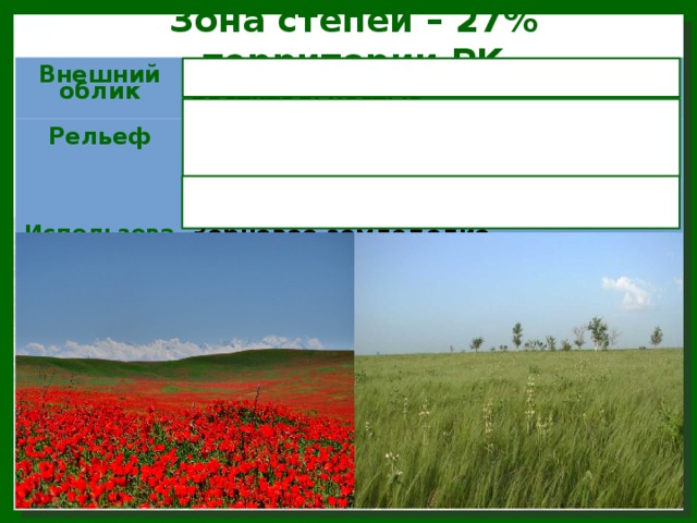 Зона степей – 27% территории РК Внешний облик Безлесная зона с травянистой растительностью Рельеф Равнинный, слабо-холмистый Использование человеком Юг Западно-Сибирской равнины, плато Торгай, Мугалжар, север Прикаспийской низменности, Жайык-Жемское плато, Север и центр Сарыарки Зерновое земледелие, скотоводство Ветровая эрозия 