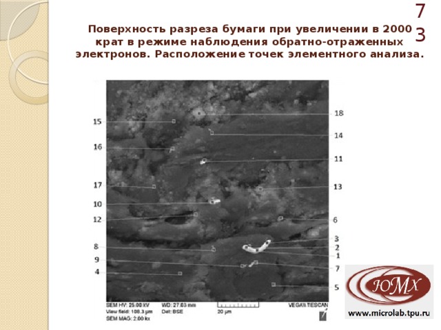  Поверхность разреза бумаги при увеличении в 2000 крат в режиме наблюдения обратно-отраженных электронов. Расположение точек элементного анализа. 