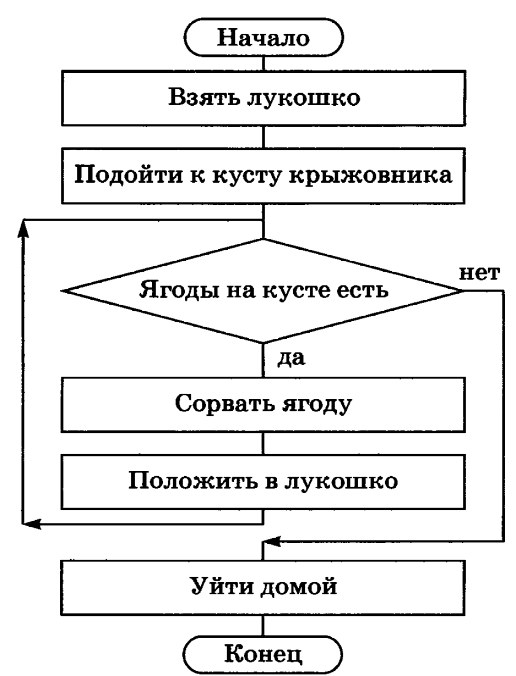 Запишите на алгоритмическом языке алгоритм представленный блок схемой начало взять лукошко