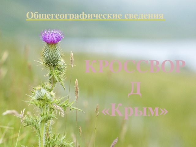 Общегеографические сведения КРОССВОРД «Крым» 