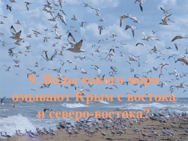 9. Воды какого моря омывают Крым с востока и северо-востока? 