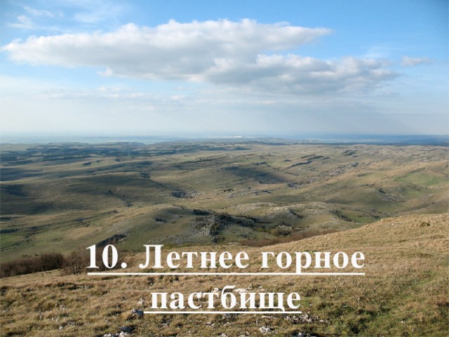10. Летнее горное пастбище 