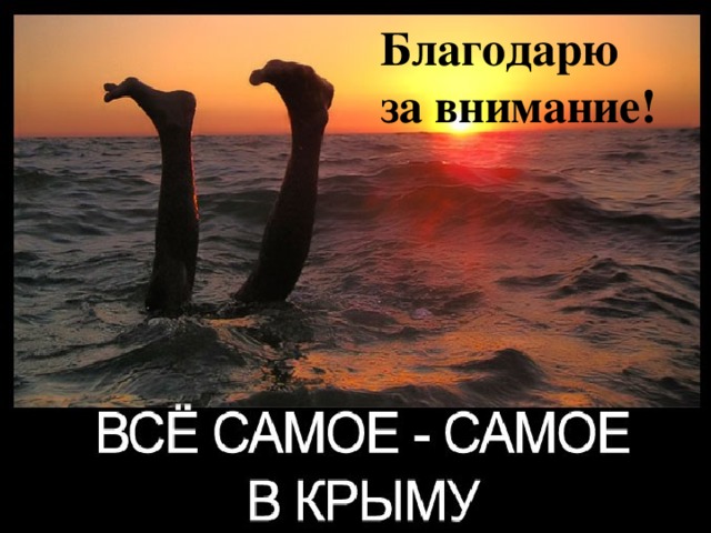 Благодарю за внимание! 