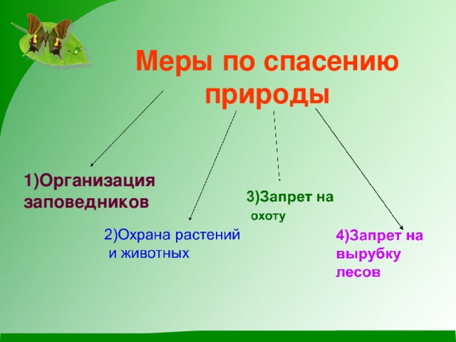 План мероприятий по охране природы 6 класс