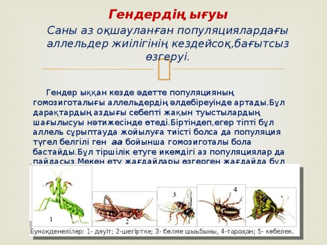 Гендер дрейфі презентация