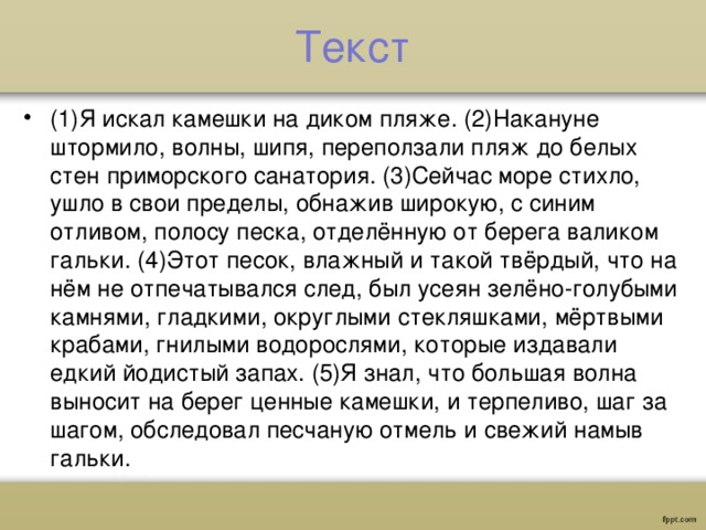 Текст шторм. Я искал камешки на диком пляже. Текс я искал камишки на диком пляже. Я искал камешки на диком пляже накануне был шторм. Текст я искал камешки на диком пляже ВПР ответы.