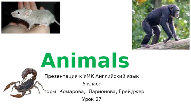 Animals Презентация к УМК Английский язык 5 класс Авторы: Комарова, Ларионова, Грейджер Урок 27 