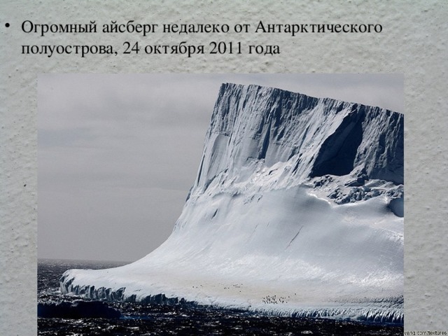 Огромный айсберг недалеко от Антарктического полуострова, 24 октября 2011 года 