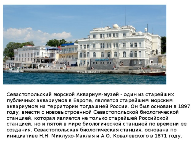 Севастопольский морской Аквариум-музей - один из старейших публичных аквариумов в Европе, является старейшим морским аквариумом на территории тогдашней России. Он был основан в 1897 году, вмести с нововыстроенной Севастопольской биологической станцией, которая является не только старейшей Российской станцией, но и пятой в мире биологической станцией по времени ее создания. Севастопольская биологическая станция, основана по инициативе Н.Н. Миклухо-Маклая и А.О. Ковалевского в 1871 году. 