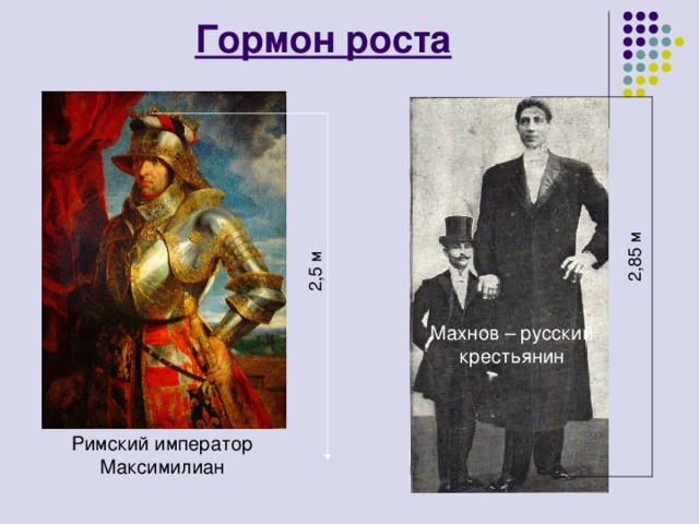 Гормон роста Махнов – русский крестьянин Римский император Максимилиан 