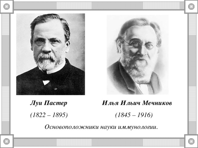 Луи Пастер Илья Ильич Мечников  (1822 – 1895) (1845 – 1916) Основоположники науки иммунологии. 