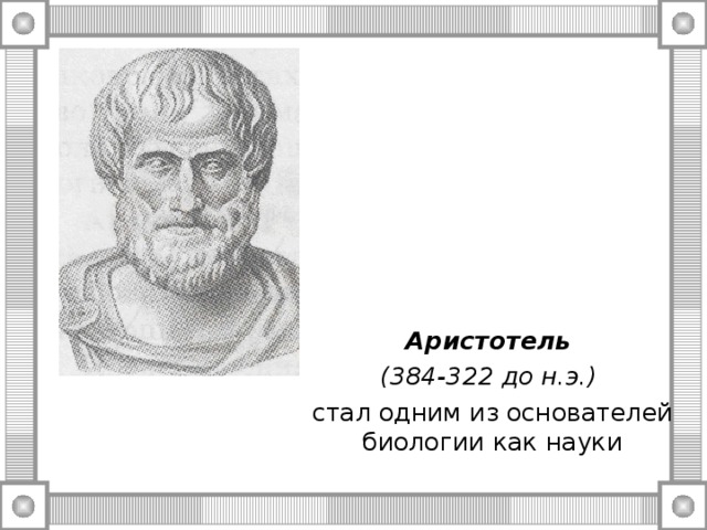 Аристотель (384-322 до н.э.)  стал одним из основателей биологии как науки 