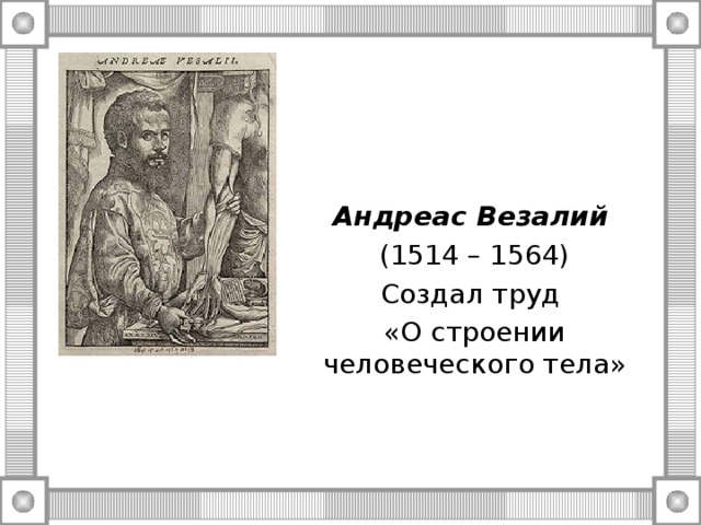 Андреас Везалий  (1514 – 1564) Создал труд «О строении человеческого тела» 