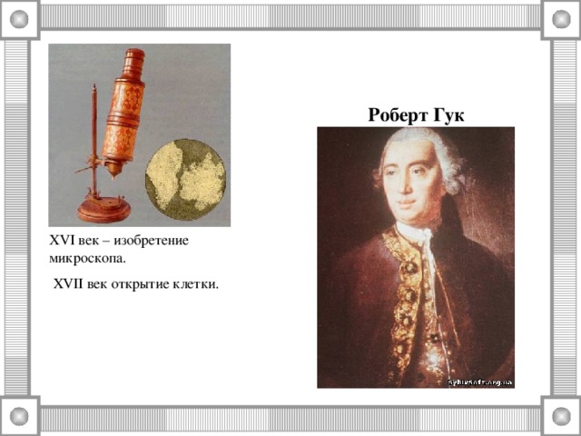 Роберт Гук XVI век – изобретение микроскопа.  XVII век открытие клетки. 