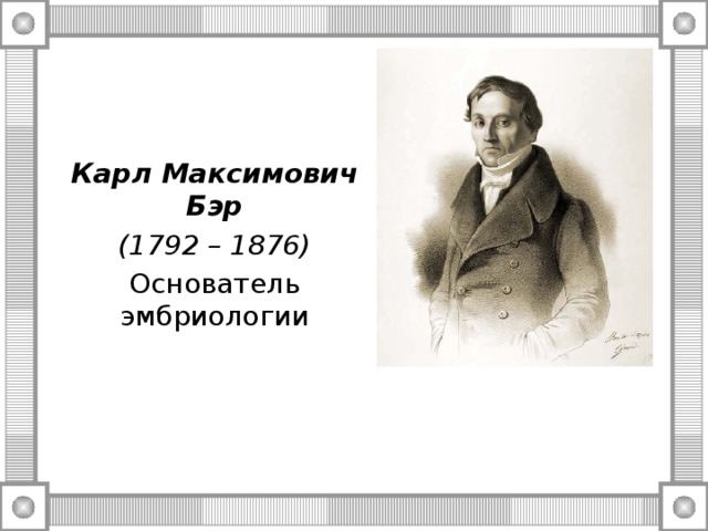 Карл Максимович Бэр (1792 – 1876) Основатель эмбриологии 