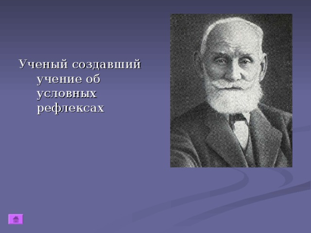 Русский ученый создавший учение о. Учение об условных рефлексах. Ученый/создавший учение о рефлексах. Ученый открывший условный рефлекс. Учение о рефлексах создал.