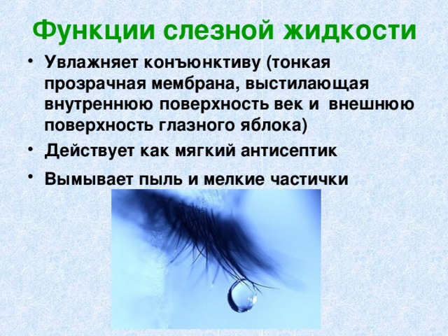 Функции слезной жидкости Увлажняет конъюнктиву (тонкая прозрачная мембрана, выстилающая внутреннюю поверхность век и внешнюю поверхность глазного яблока) Действует как мягкий антисептик Вымывает пыль и мелкие частички  