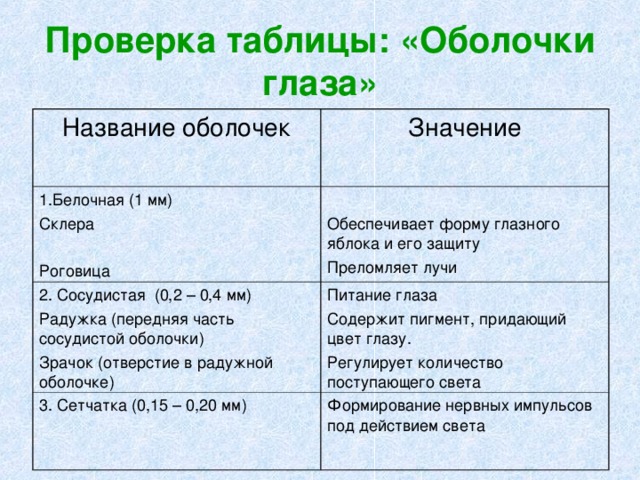 Проверка таблицы: «Оболочки глаза» Название оболочек Значение 1.Белочная (1 мм) Склера Роговица Обеспечивает форму глазного яблока и его защиту Преломляет лучи 2. Сосудистая (0,2 – 0,4 мм) Радужка (передняя часть сосудистой оболочки) Зрачок (отверстие в радужной оболочке) Питание глаза Содержит пигмент, придающий цвет глазу. Регулирует количество поступающего света 3. Сетчатка (0,15 – 0,20 мм) Формирование нервных импульсов под действием света 