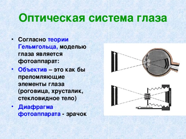 Оптическая система глаза Согласно теории Гельмгольца, моделью глаза является фотоаппарат: Объектив – это как бы преломляющие элементы глаза (роговица, хрусталик, стекловидное тело) Диафрагма фотоаппарата - зрачок 