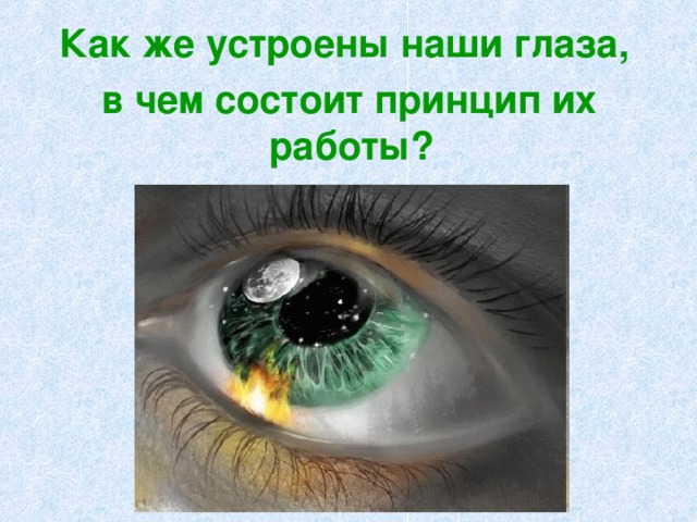 Как же устроены наши глаза,  в чем состоит принцип их работы? 