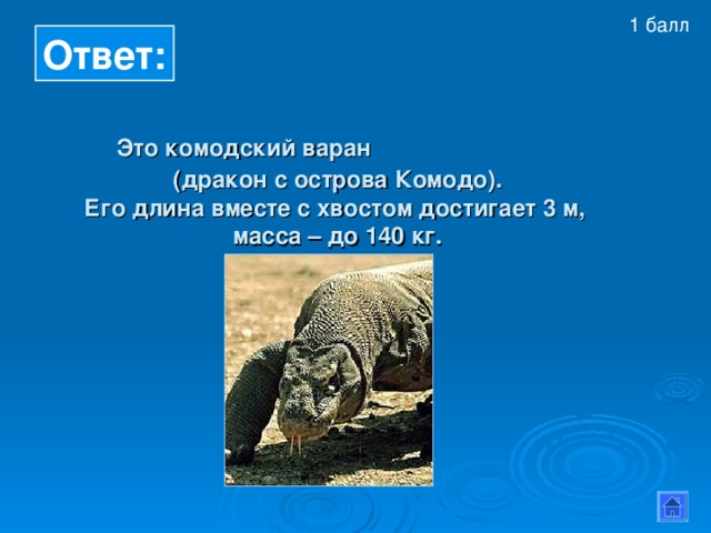 1 балл  Ответ:  Это комодский варан  (дракон с острова Комодо).  Его длина вместе с хвостом  достигает 3 м,  масса – до 140 кг. 