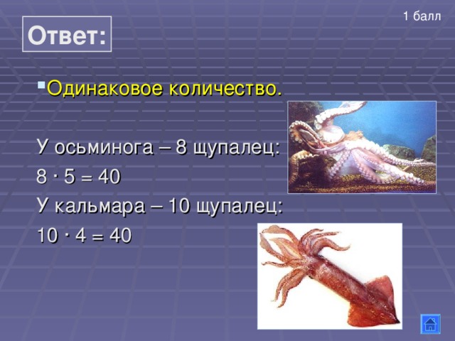 1 балл  Ответ: Одинаково е количество. ∙ 5 = 40 ∙ 4 = 40 