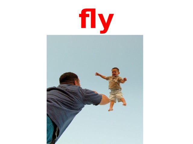 fly 