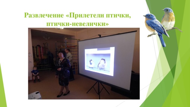 Развлечение «Прилетели птички,  птички-невелички» 