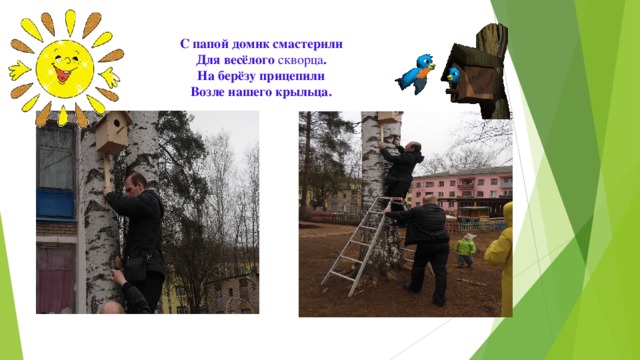 С папой домик смастерили  Для весёлого  скворца .  На берёзу прицепили  Возле нашего крыльца.   