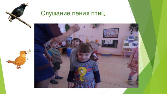 Слушание пения птиц.   