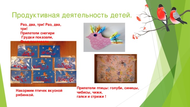 Продуктивная деятельность детей.   Раз, два, три! Раз, два, три!  Прилетели снегири  Грудки показали,  Ягод поклевали . Прилетели птицы: голуби, синицы, чибисы, чижи, галки и стрижи ! Накормим птичек вкусной рябинкой. 