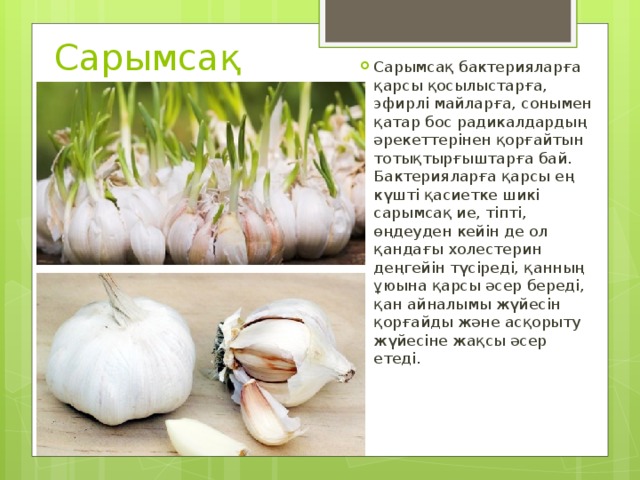 Сарымсақ Сарымсақ бактерияларға қарсы қосылыстарға, эфирлі майларға, сонымен қатар бос радикалдардың әрекеттерінен қорғайтын тотықтырғыштарға бай. Бактерияларға қарсы ең күшті қасиетке шикі сарымсақ ие, тіпті, өңдеуден кейін де ол қандағы холестерин деңгейін түсіреді, қанның ұюына қарсы әсер береді, қан айналымы жүйесін қорғайды және асқорыту жүйесіне жақсы әсер етеді. 