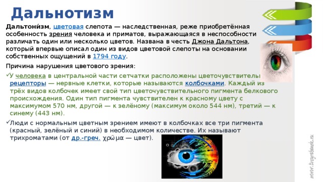 Дальнотизм Дальтони́зм ,  цветовая  слепота — наследственная, реже приобретённая особенность  зрения  человека и приматов, выражающаяся в неспособности различать один или несколько цветов. Названа в честь  Джона Дальтона , который впервые описал один из видов цветовой слепоты на основании собственных ощущений в  1794 году . Причина нарушения цветового зрения: У  человека  в центральной части сетчатки расположены цветочувствительные  рецепторы  — нервные клетки, которые называются  колбочками . Каждый из трёх видов колбочек имеет свой тип цветочувствительного пигмента белкового происхождения. Один тип пигмента чувствителен к красному цвету с максимумом 570 нм, другой — к зелёному (максимум около 544 нм), третий — к синему (443 нм). Люди с нормальным цветным зрением имеют в колбочках все три пигмента (красный, зелёный и синий) в необходимом количестве. Их называют трихроматами (от  др.-греч.  χρῶμα — цвет). 