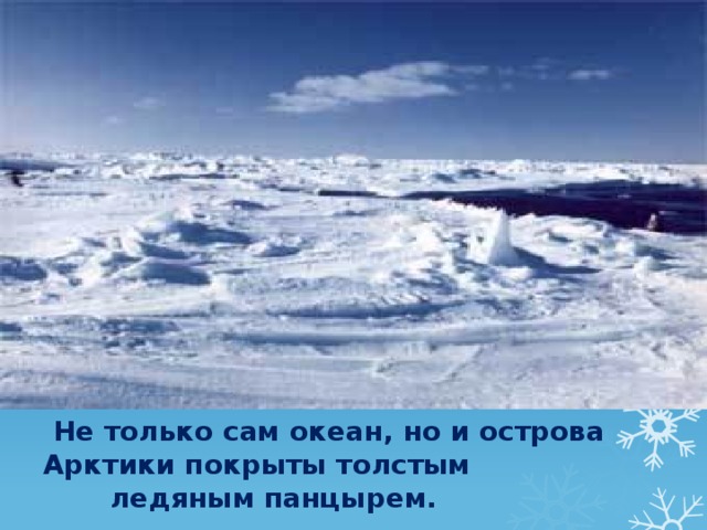 Не только сам океан, но и острова Арктики покрыты толстым  ледяным панцырем.