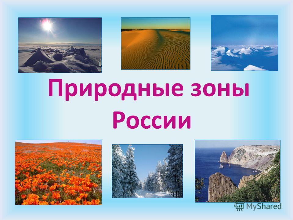 Природные зоны россии для дошкольников картинки