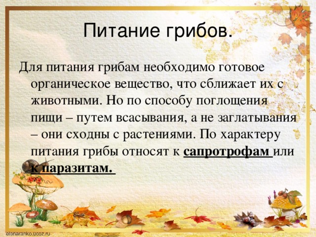 Питание грибов. Для питания грибам необходимо готовое органическое вещество, что сближает их с животными. Но по способу поглощения пищи – путем всасывания, а не заглатывания – они сходны с растениями. По характеру питания грибы относят к сапротрофам или к паразитам. 