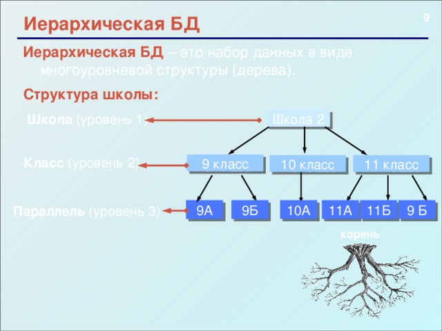  Иерархическая БД Иерархическая БД – это набор данных в виде многоуровневой структуры (дерева). Структура школы: Школа (уровень 1) Школа 2 Класс (уровень 2) 9 класс 10 класс 11 класс 9А 9Б 10А 11А 11Б 9 Б Параллель (уровень 3) корень   