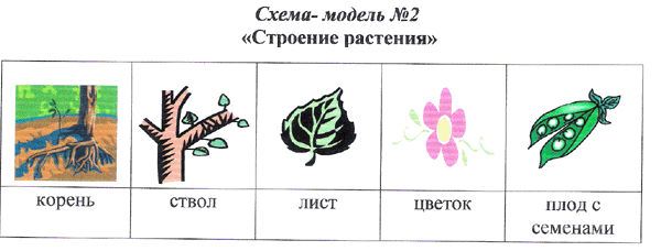 Тех карта по экологии в старшей группе