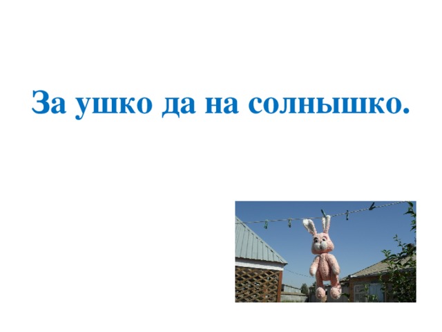 За ушко да на солнышко. Поговорка за ушко да на солнышко. За ушко да на солнышко смысл поговорки. Смысл пословицы за ушко да на солнышко.