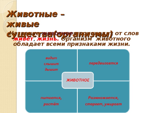 Животное и живое существо схема