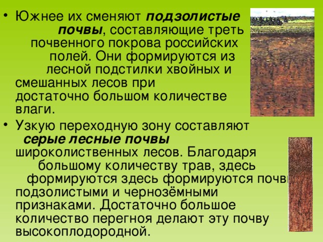 Одинаковое ли количество перегноя содержится в разных образцах почвы с помощью какого опыта