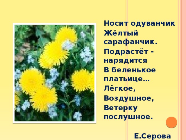 Стихи про одуванчики для детей 3 лет. Одуванчик желтый сарафанчик. Одуванчик желтый сарафанчик стишок.