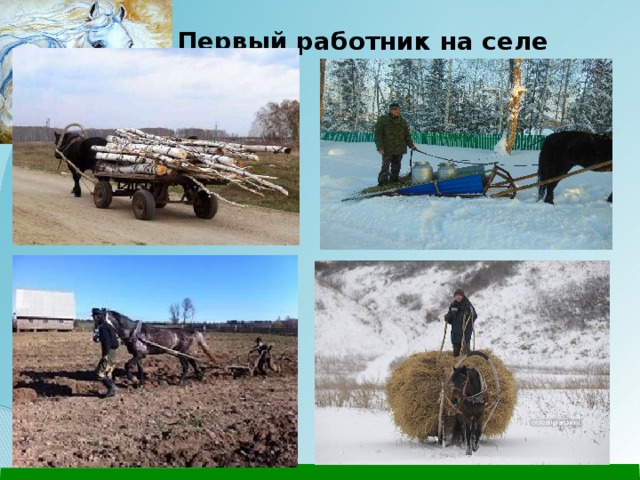 Отчёт о Проекте "Моя малая Родина - посёлок Чаадаевка".