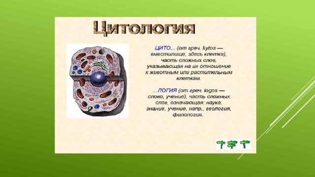 Цитология как наука разделы
