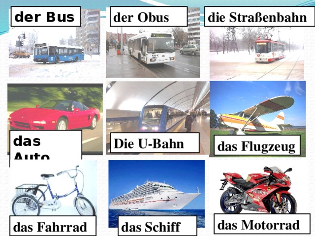 Die bus. O-Bus с артиклем. Die o Bus. Der Bus перевод картинки.