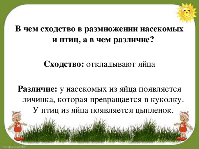 Как размножаются животные 3 класс окружающий мир. Сходство в размножении птиц и рыб. В чем сходство размножения птиц и насекомых. Сходство и различие размножения насекомых и птиц. В чем сходство в размножении птиц и рыб.