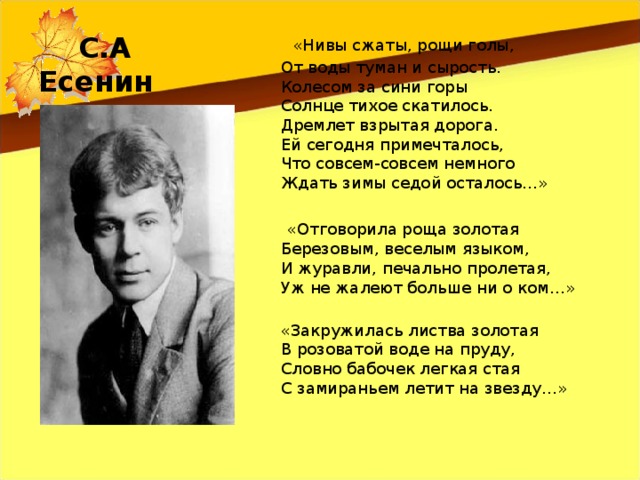 «Нивы сжаты, рощи голы,  От воды туман и сырость.  Колесом за сини горы  Солнце тихое скатилось.  Дремлет взрытая дорога.  Ей сегодня примечталось,  Что совсем-совсем немного  Ждать зимы седой осталось...»  «Отговорила роща золотая  Березовым, веселым языком,  И журавли, печально пролетая,  Уж не жалеют больше ни о ком…»  «Закружилась листва золотая  В розоватой воде на пруду,  Словно бабочек легкая стая  С замираньем летит на звезду…»    С.А Есенин