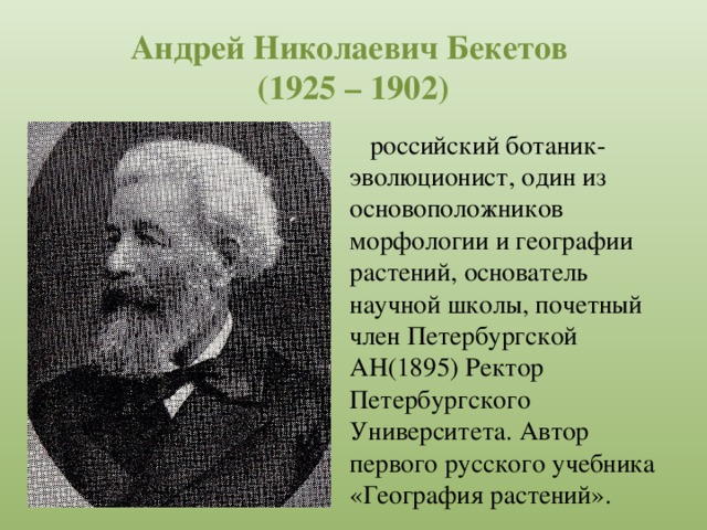 Ученый ботаник дед блока 7 букв сканворд. А. Н. Бекетов ботаник. А Н Бекетов дед блока.