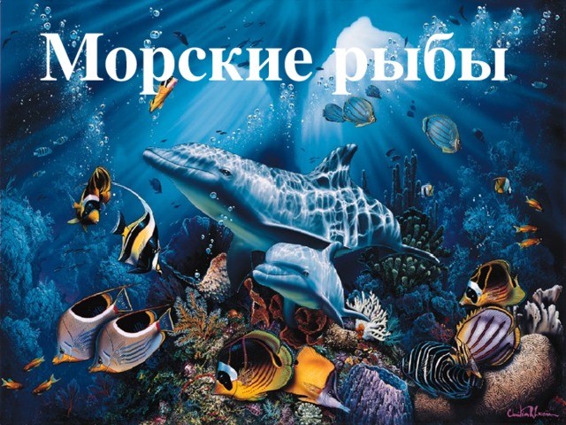 Морские рыбы 